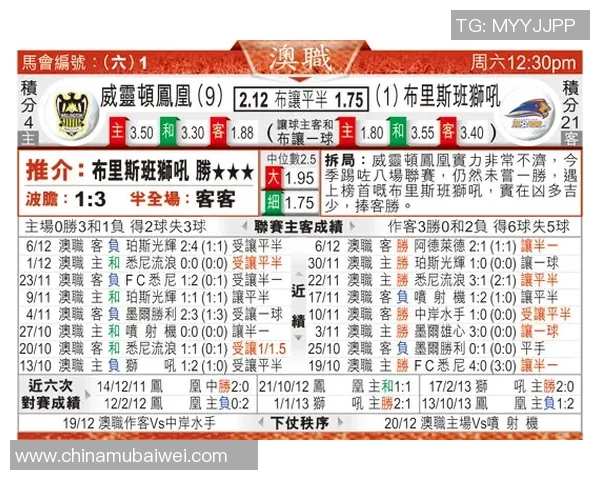 威灵顿凤凰对阵布里斯班狮吼精彩赛事分析与预测