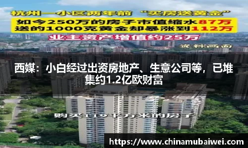 西媒：小白经过出资房地产、生意公司等，已堆集约1.2亿欧财富